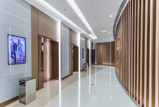 elevator manufacturers in delhi