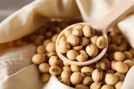 Soybean Dietary Info And Well being Results